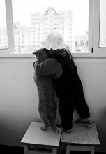 Kumpan / ***
