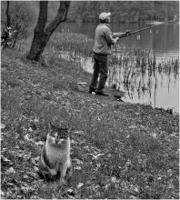 Waiting in the wings / *****