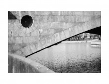&nbsp; / fish in the city.