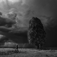 In the Storm / ***