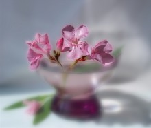 Good morning:) / ***
