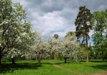 When blooming gardens ... / ***