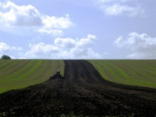 Tractor in field / ***