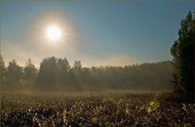 The first rays. / ******