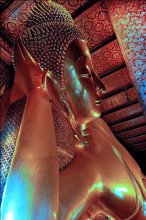 statue / ***