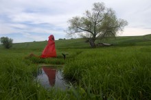 Little Red Riding Hood / .....