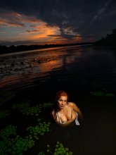 Princess swamp / ***