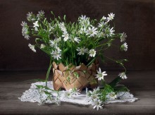 Sketch of flowers in a basket / ***