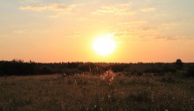 The first summer sunrise / ***