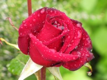 beautiful / ..........