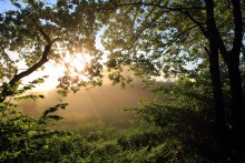 Towards the sun / ***********