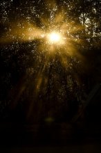 Dust and the sun ... / ***