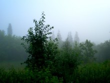 Nach dem Regen / ***