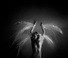 i-Bird / ***