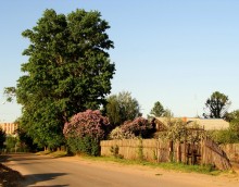 A road. / ***