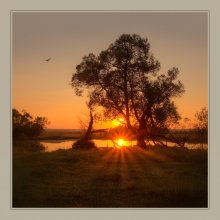 about the fallen sun / ***