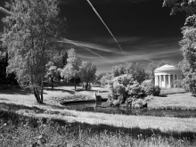 In the Pavlovsk Park / ......