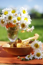 Honey Chamomile / 09.06.11