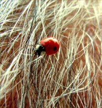 Somewhere in the hair:) / Somewhere in the hair:)