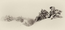... Road to Taraktash ... / ***