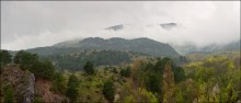On the mountain, living in the clouds / ***