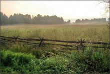 Farmer dawns / ***