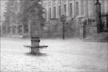 In the city of rain / ***
