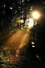 After the rain / ***
