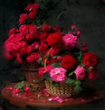 Rose in June / **********************