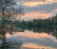 Fishing stories / ***
