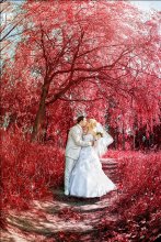 Vadim&amp;Katya / ***