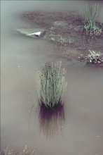 auf dem Fluss / ***