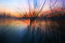dawn of illusion / _______________________