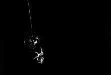 The pendulum of life / ***
