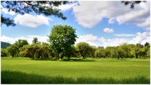 Urban Lawn / ***