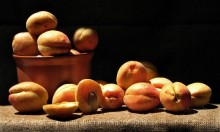 Apricots / ***********************