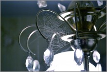 house of Spiderman / .....