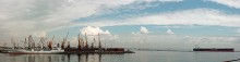 Port / ***