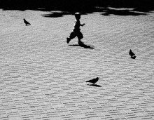 Der Junge und der Rabe / ....................