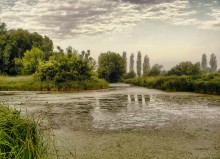 Matins silence / ***
