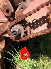rost 01 / rust never sleeps!