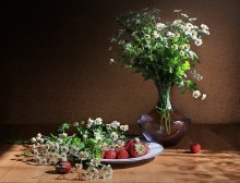 With daisies and strawberries / ***
