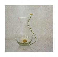last tango ... / ......