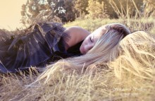 Sleeping bird / ***