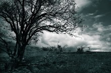 [K p und d | r m e n u] / *****************