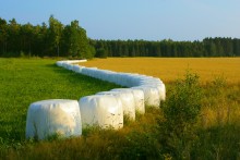 Landscape / ***