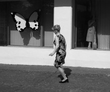 Butterflies / ***
