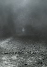 Tunnel (repost) / *******