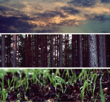 For each a circle. / ***