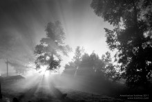 Boom Light / ***